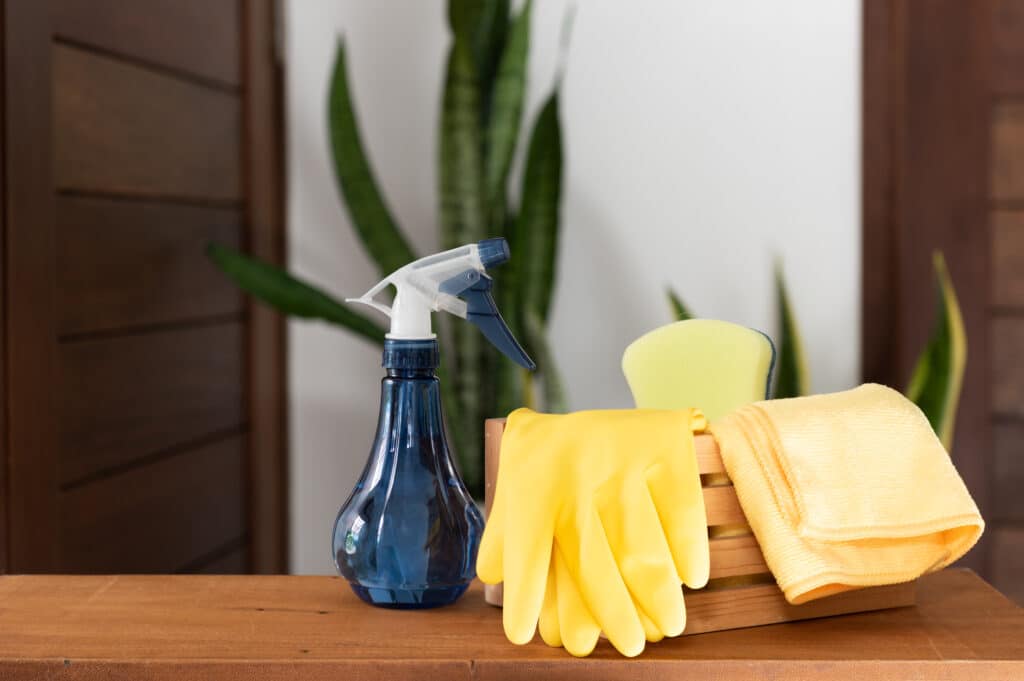 Home Cleaning
